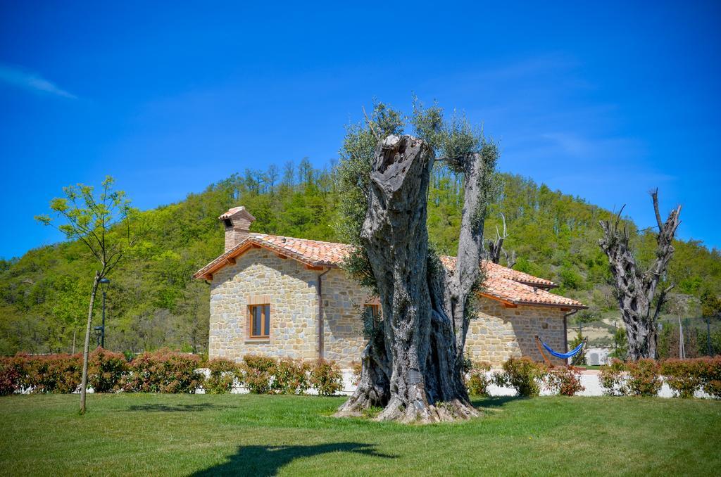 Tenuta Borgo Santa Cecilia Gubbio Buitenkant foto